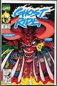 Ghost Rider #19 (1991) Ghost Rider