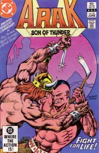 Arak Son of Thunder #22 FN ; DC | Roy Thomas