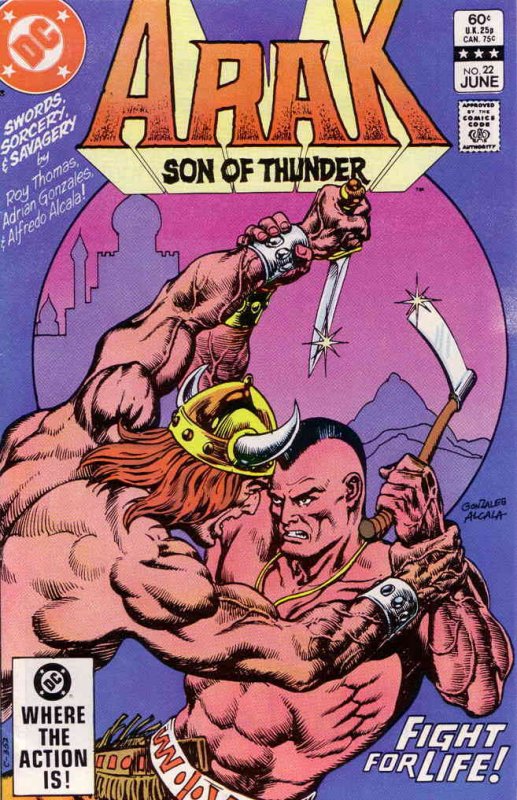 Arak Son of Thunder 22 VF NM DC Roy Thomas Comic Books