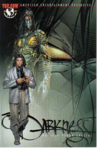 Darkness, The: Holiday Pinup Special #1 FN ; Image | American Entertainment