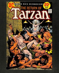 Tarzan (1972) #222