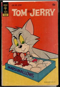 Tom and Jerry #262 (1972)