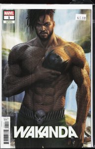 Wakanda #1 Lau Cover (2022) Shuri