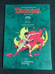 1993 TARZAN IN COLOR by Hal Foster SC FN+ 6.5 NBM Flying Buttress