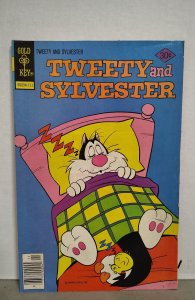 Tweety and Sylvester #75. H02