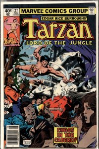 Tarzan #27 (1979) Tarzan