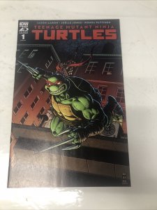 Teenage Mutant Ninja Turtels (NM) # 1 (2024)  Variant • IDW Publishing • Aaron