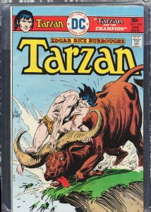 Edgar Rice Burroughs' Tarzan #248 (1976)