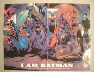 I AM BATMAN Promo Poster, Harley Quinn, 22x17, 2009, Unused,more Promos in store