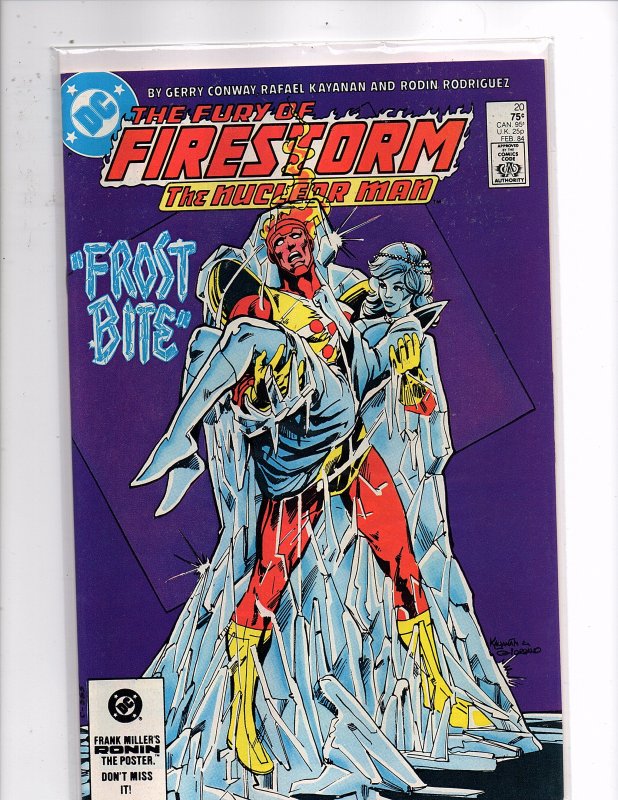 DC Comics The Fury of Firestorm #20 Killer Frost Firehawk