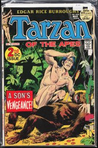 Edgar Rice Burroughs' Tarzan #208 (1972)