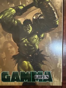 World War Hulk: Gamma Files (2007)