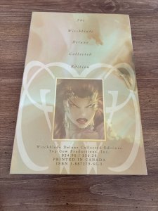 Witchblade Deluxe Collected Edition Image Comic Book 4 J456