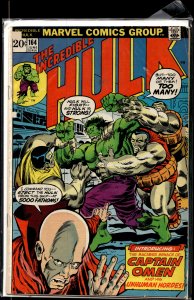 The Incredible Hulk #164 (1973) Hulk