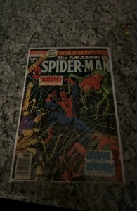 The Amazing Spider-Man Annual #11 (1977) Spider-Man 