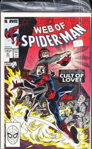 Web of Spider-Man #41 (1988) Spider-Man
