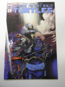 Teenage Mutant Ninja Turtles #102 RI Cover