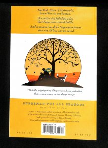 Superman For All Seasons #3