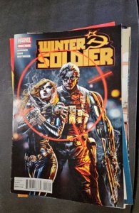 Winter Soldier #2 (2012)
