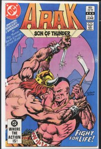 Arak, Son of Thunder #22 (1983) Arak, Son of Thunder