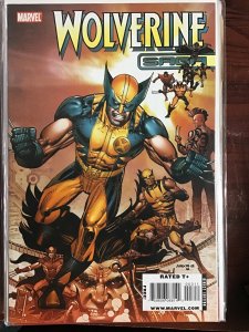 Wolverine Saga (2009)