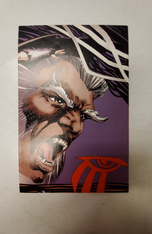 Shaman's Tears #2 (1993) NM Image Comic Book J732