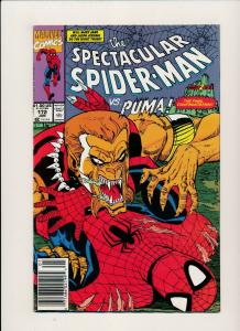 Marvel LOT of 6-SPECTACULAR SPIDER-MAN #156,167,172,180,186,& 228 F/VF (PJ121)