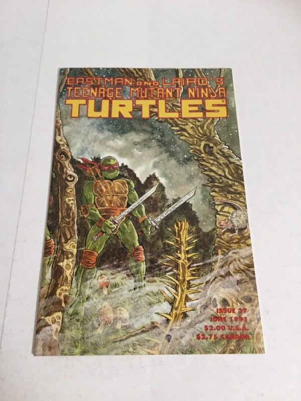 Teenage Mutant Ninja Turtles 37 Nm Near Mint 