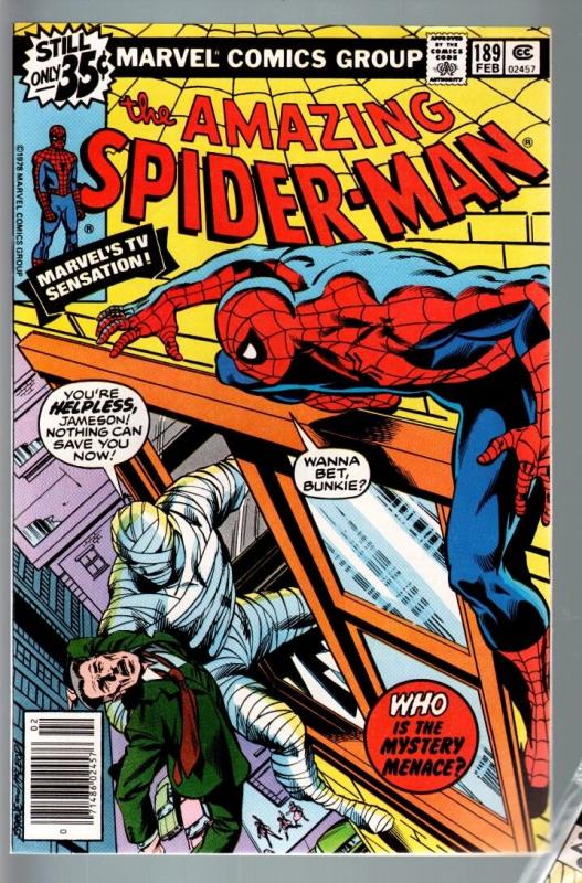 Image result for spiderman comic 189