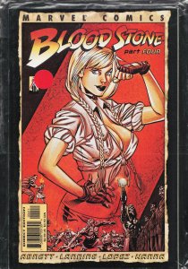 Bloodstone #4 (2002) Bloodstone