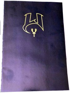 Witchblade #54 B 2002 Image Var Black Overlay Cover w/ Gold Foil 1st Print Comic
