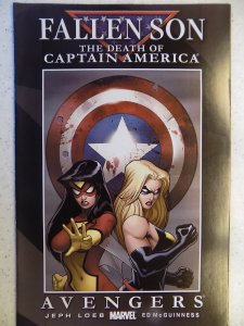Fallen Son: The Death of Captain America #2 (2007)