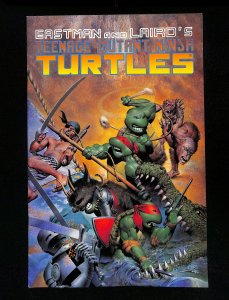 Teenage Mutant Ninja Turtles #33