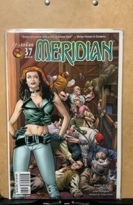 Meridian #37 (2003)