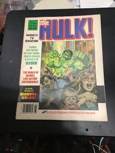 Hulk! #16 (1979) Lou Ferrigno TV show bio! High-grade! VF/NM Color pages! Wow