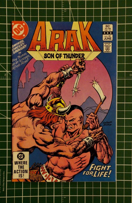 Arak, Son of Thunder #22 (1983)
