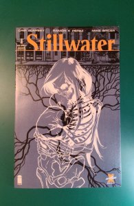 Stillwater #1 Second Print Cover (2020) VF/NM