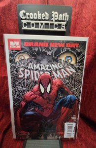 The Amazing Spider-Man #553 (2008)