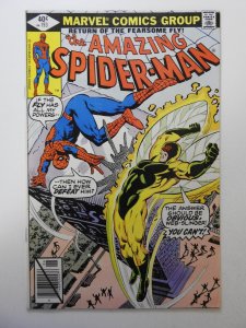 The Amazing Spider-Man #193 (1979)