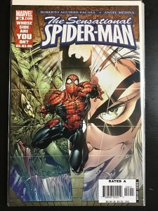 The Sensational Spider-Man #24 (2006)