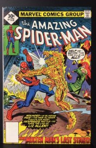 The Amazing Spider-Man #173 (1977)