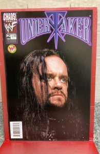 Undertaker #2 Variant Cover (1999)