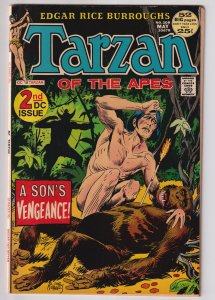 Edgar Rice Burroughs' Tarzan #208 (1972)