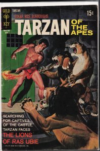 Edgar Rice Burroughs' Tarzan #201 (1971)