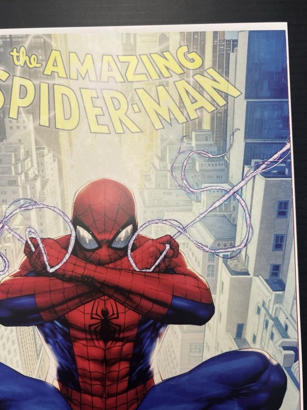 AMAZING SPIDER-MAN #14 1:25 JAY ANACLETO VAR MARVEL COMICS 2026 PROSHIPPER