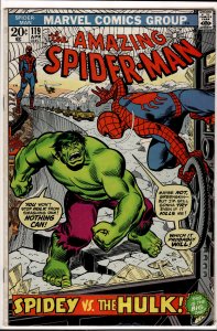 The Amazing Spider-Man #119 (1973) Spider-Man