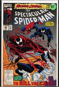 The Spectacular Spider-Man #201 (1993) Spider-Man