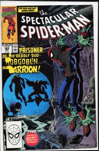 The Spectacular Spider-Man #163 (1990) Spider-Man