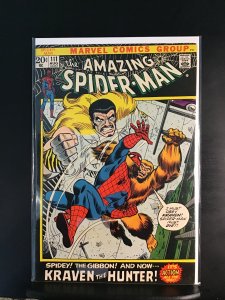 The Amazing Spider-Man #111 (1972)