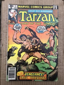 Tarzan #5 (1977)